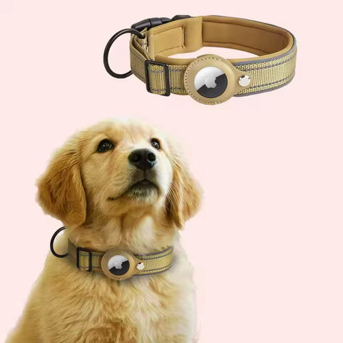 Belmont Collar - Khaki