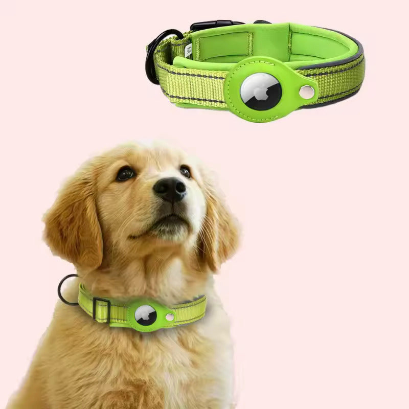 Belmont Collar - Light